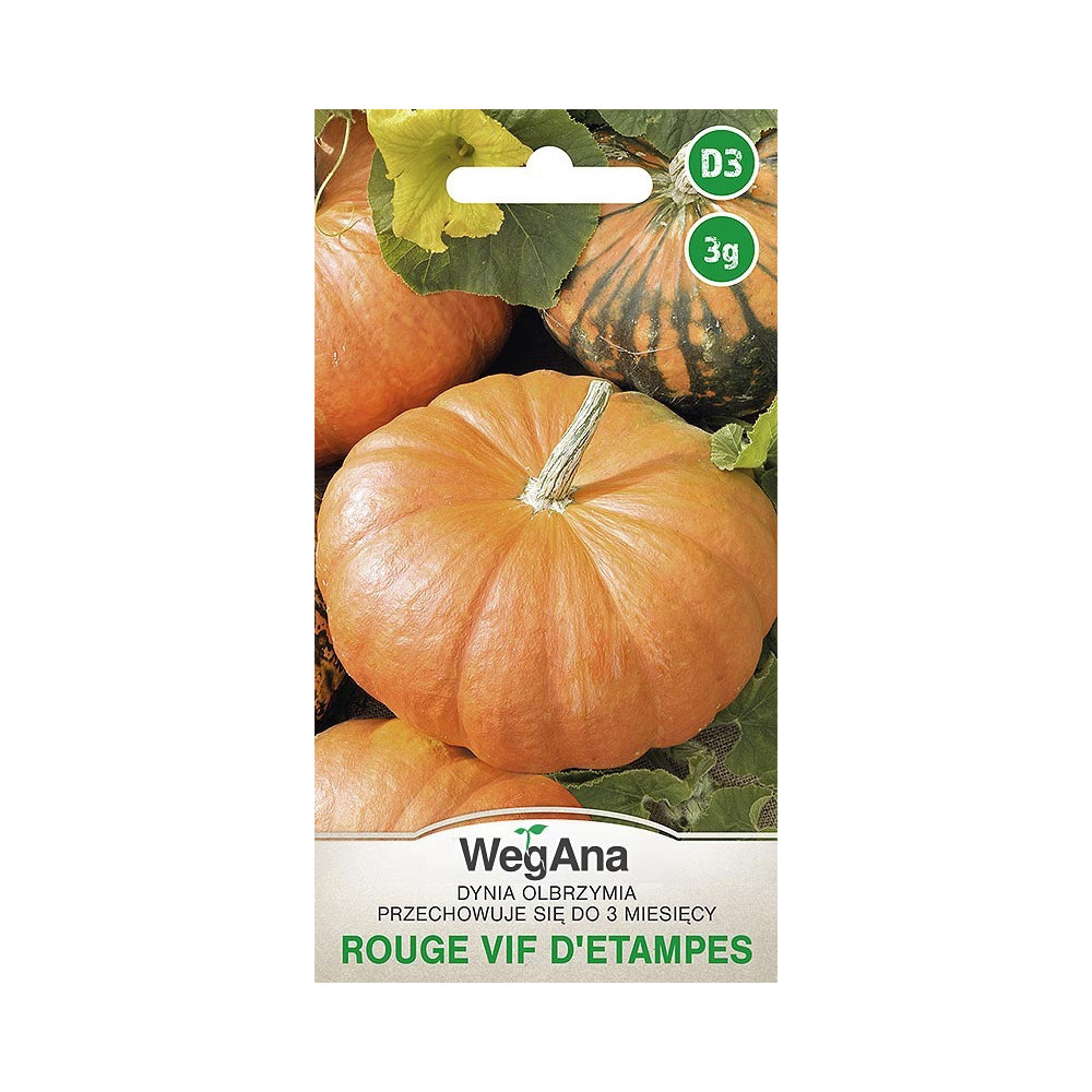 Dynia olbrzymia Rouge vif d’Etampes 3 g